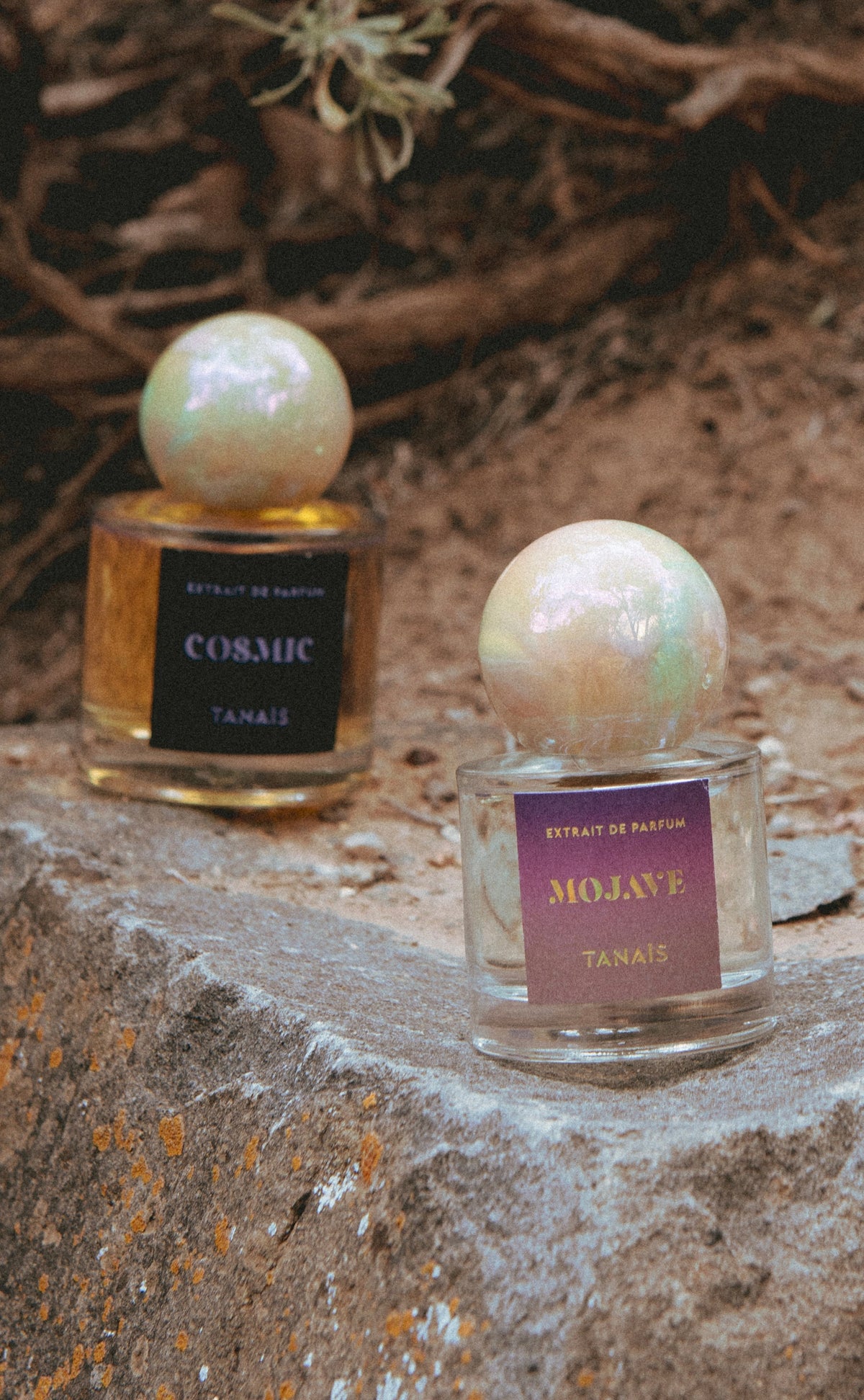 Cosmic & Mojave